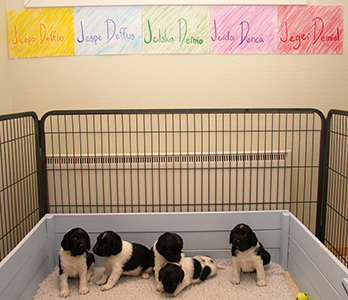 Meillä on nimet 28.7.2017